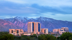 Intermountain complex before mountain background